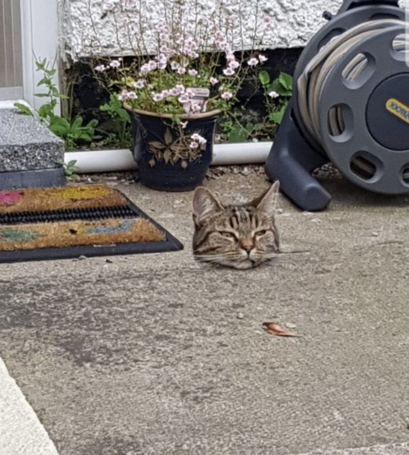 Objek seperti hilang sebagian Berbagai sumber