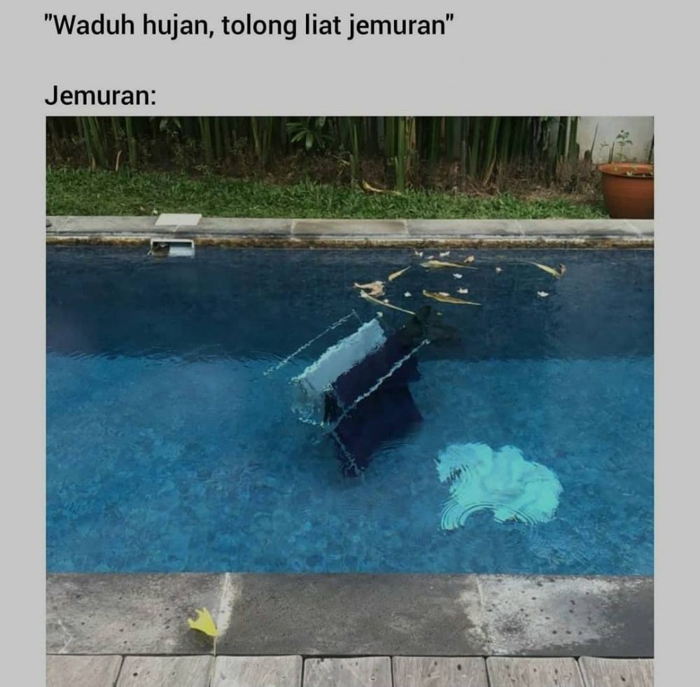 apes waktu jemur baju di rumah lucu © berbagai sumber apes waktu jemur baju di rumah lucu © berbagai sumber