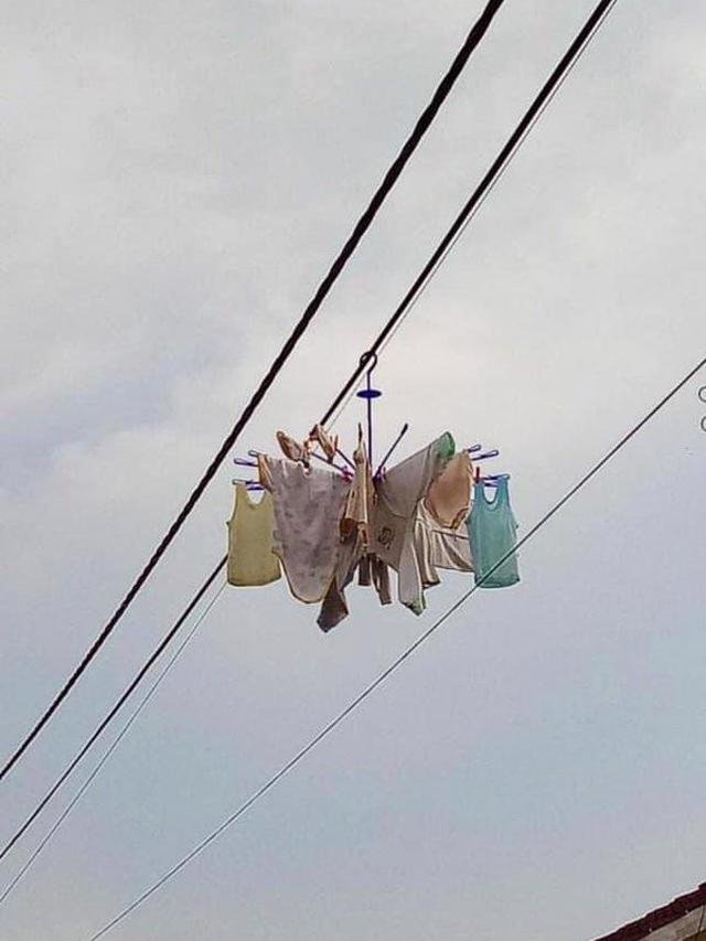 apes waktu jemur baju di rumah lucu © berbagai sumber