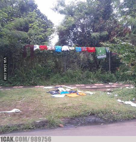 apes waktu jemur baju di rumah lucu © berbagai sumber