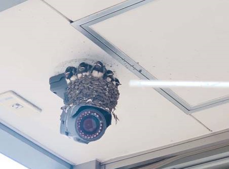 15 Potret lucu cara orang taruh CCTV ini penampakannya bikin tertipu