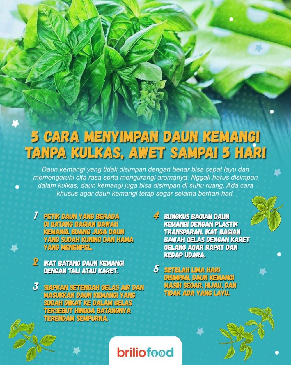 5 Cara menyimpan daun kemangi tanpa kulkas, tak layu hingga 5 hari
