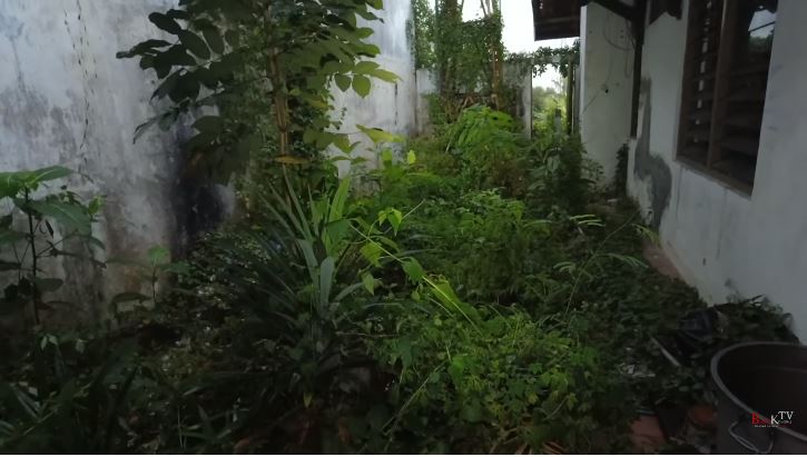 potret rumah mendiang farida pasha di semarang © YouTube