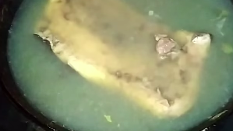 Cuma pakai sendok, ini cara mudah bersihkan bulu pada kulit sapi