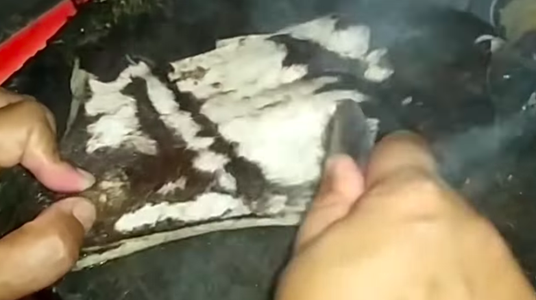 Cuma pakai sendok, ini cara mudah bersihkan bulu pada kulit sapi