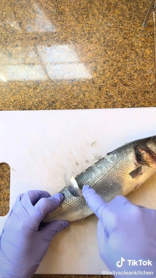 Bisa pakai sendok, begini trik bersihkan sisik ikan dengan mudah