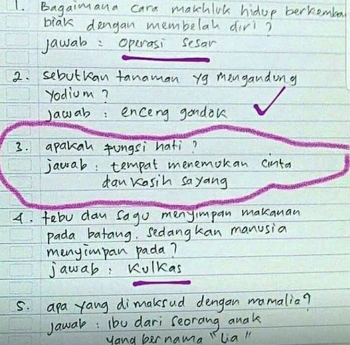 pesan tersembunyi di kertas ujian lucu © berbagai sumber