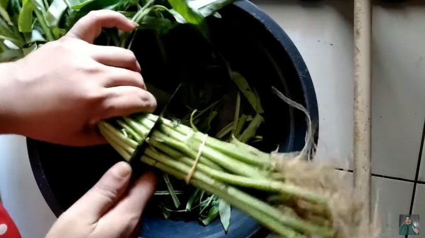 Jangan langsung dibelah, ini trik sederhana bersihkan kangkung