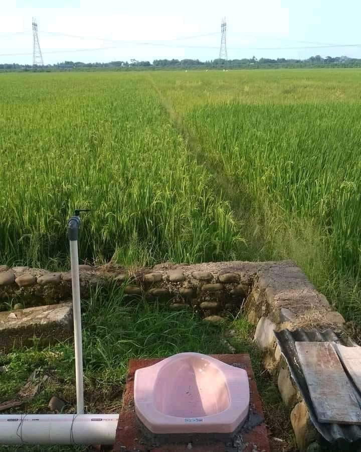 salah taruh benda di sawah kocak © berbagai sumber