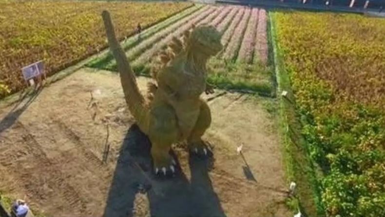 salah taruh benda di sawah kocak © berbagai sumber salah taruh benda di sawah kocak © berbagai sumber