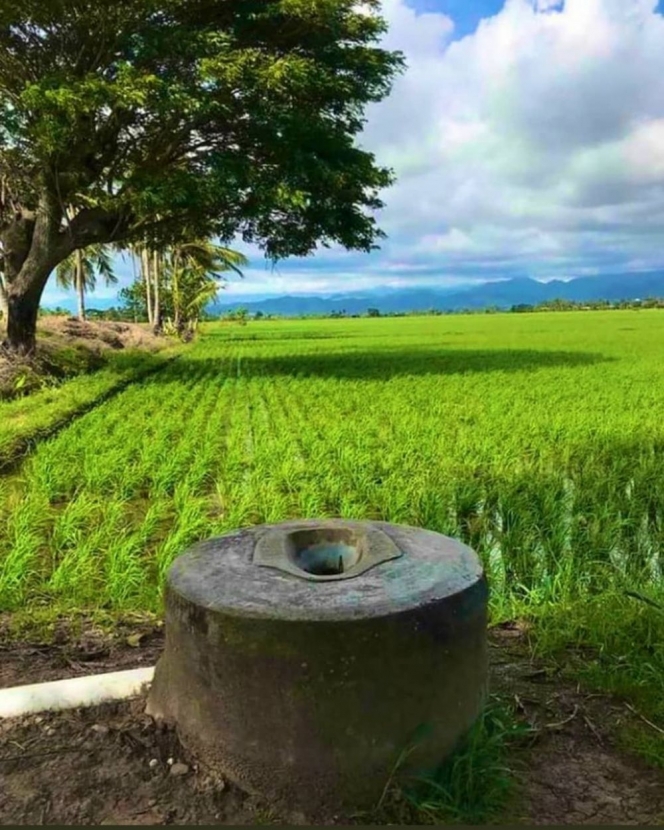 salah taruh benda di sawah kocak © berbagai sumber salah taruh benda di sawah kocak © berbagai sumber
