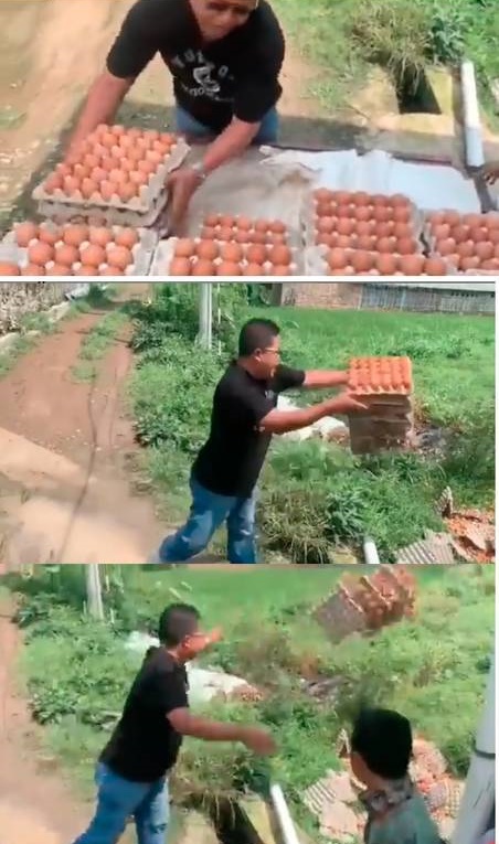 salah taruh benda di sawah kocak © berbagai sumber salah taruh benda di sawah kocak © berbagai sumber