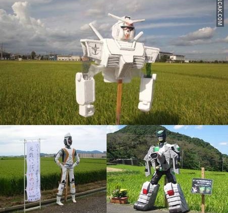 salah taruh benda di sawah kocak © berbagai sumber salah taruh benda di sawah kocak © berbagai sumber