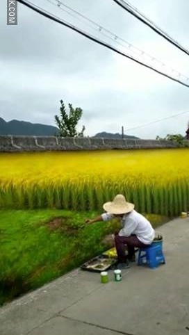 salah taruh benda di sawah kocak © berbagai sumber salah taruh benda di sawah kocak © berbagai sumber