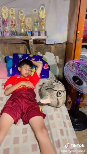 room tour gubuk bambu bikin salut © berbagai sumber room tour gubuk bambu bikin salut © berbagai sumber