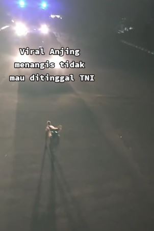Momen haru anjing tak mau ditinggal anggota TNI TikTok