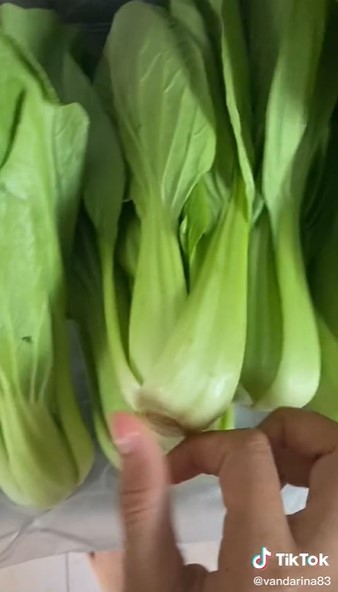 Trik jitu memilih pokcoy segar dan tidak pahit, mudah ditiru