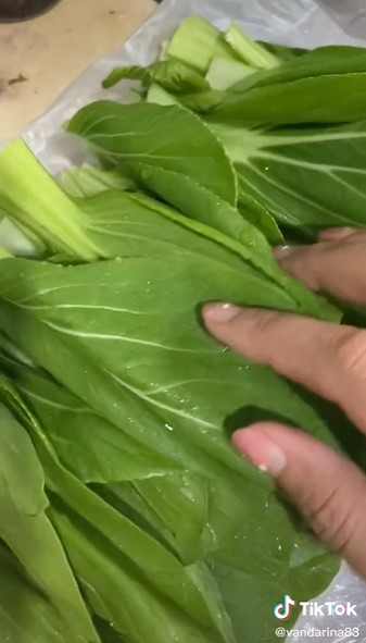 Trik jitu memilih pokcoy segar dan tidak pahit, mudah ditiru