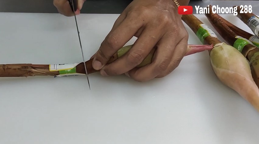 Cara simpan bunga kecombrang biar tetap segar dan wangi berbulan-bulan