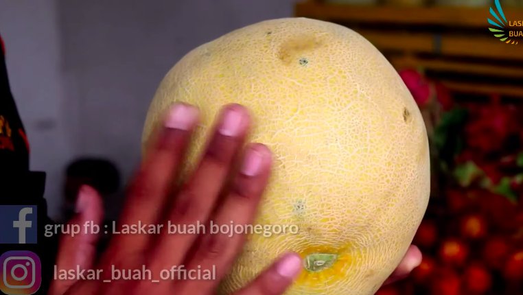 Tanpa membukanya, ini 5 trik memilih melon yang matang dan manis