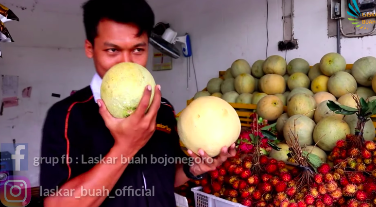 Tanpa membukanya, ini 5 trik memilih melon yang matang dan manis