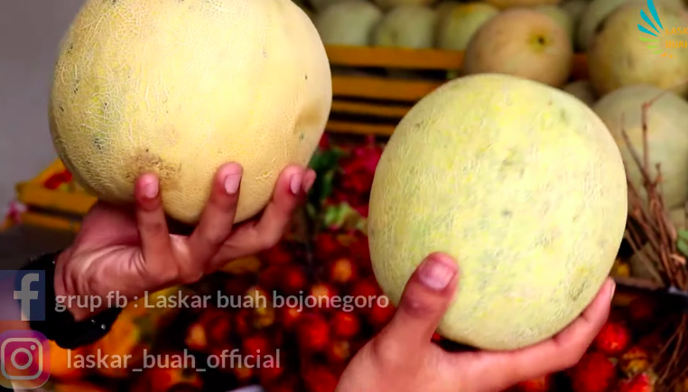 Tanpa membukanya, ini 5 trik memilih melon yang matang dan manis
