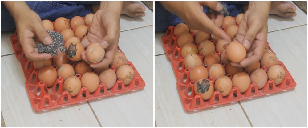 Jangan dicuci, ini 5 cara bersihkan telur kotor agar tak mudah busuk