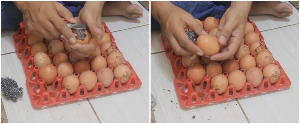 Jangan dicuci, ini 5 cara bersihkan telur kotor agar tak mudah busuk
