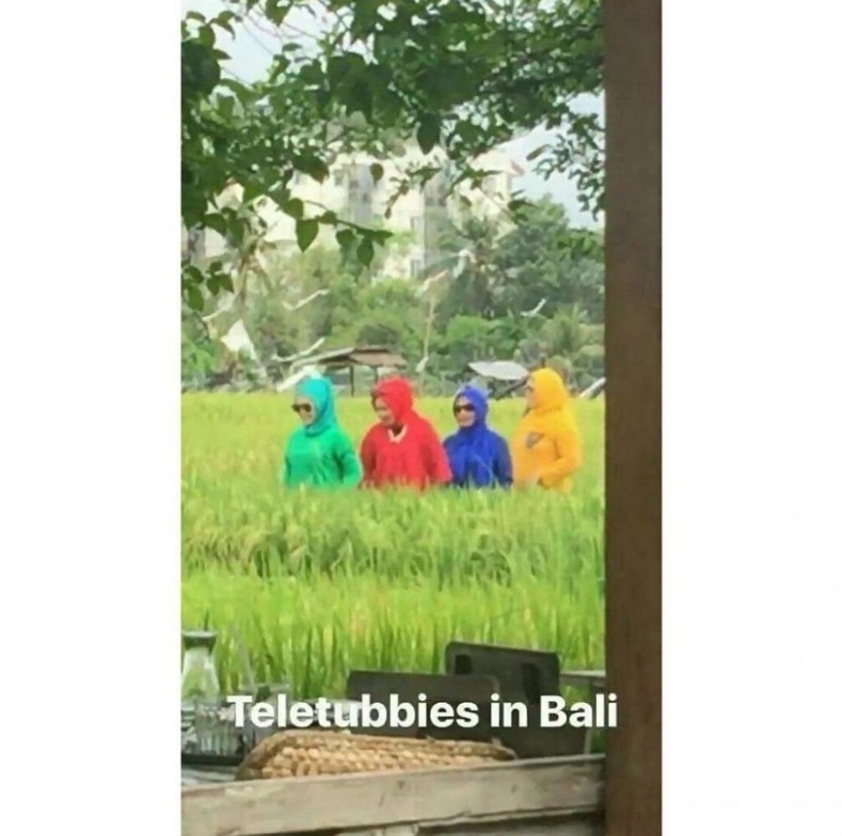 Tingkah kocak orang di sawah Berbagai sumber Tingkah kocak orang di sawah Berbagai sumber