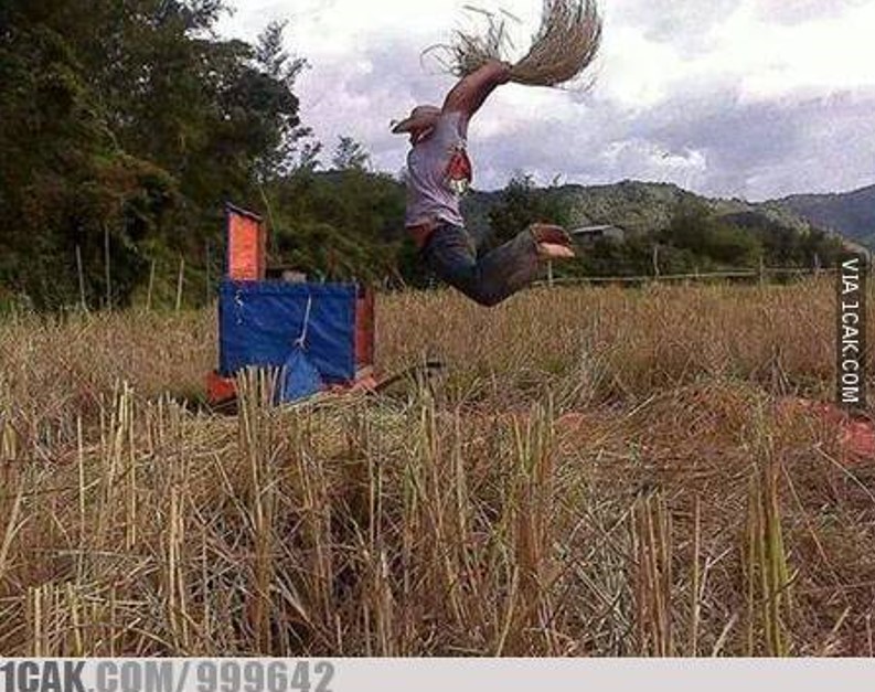 Tingkah kocak orang di sawah Berbagai sumber Tingkah kocak orang di sawah Berbagai sumber