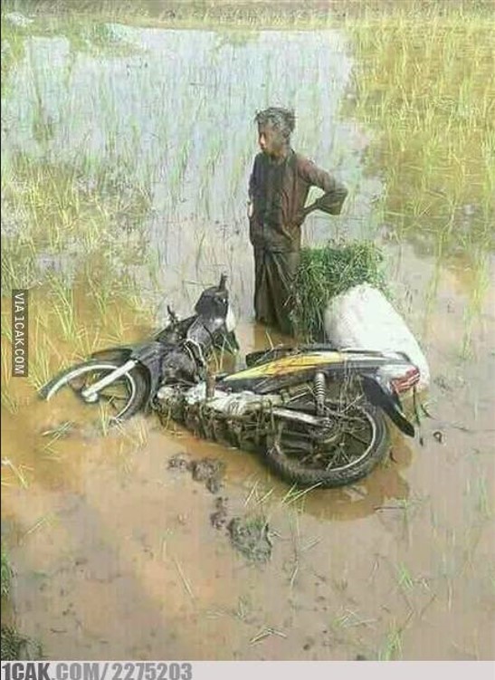 Tingkah kocak orang di sawah Berbagai sumber Tingkah kocak orang di sawah Berbagai sumber