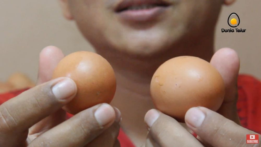 Trik pisahkan telur mentah yang saling menempel, nggak bikin rusak