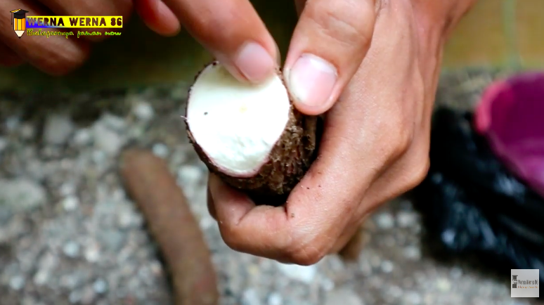 5 Trik jitu memilih singkong yang empuk dan merekah saat digoreng