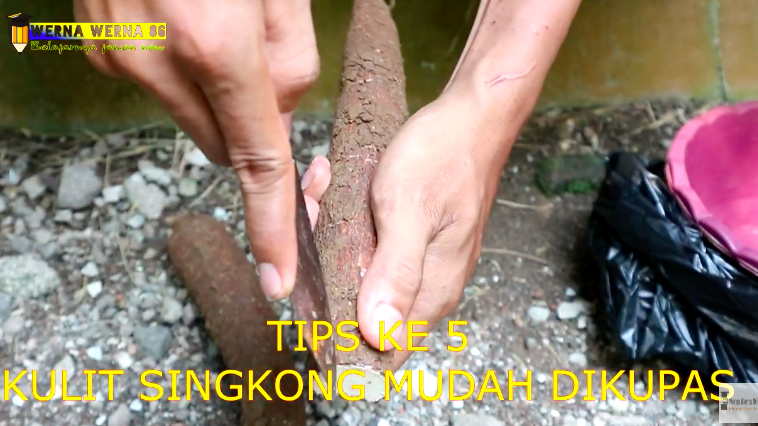 5 Trik jitu memilih singkong yang empuk dan merekah saat digoreng