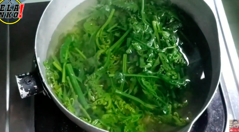 Trik mengolah daun pakis agar getahnya hilang dan tetap berwarna hijau