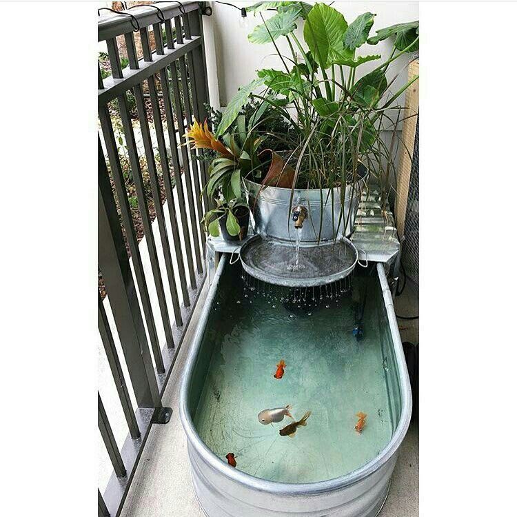 hiasan kolam ikan nyeleneh abis © berbagai sumber hiasan kolam ikan nyeleneh abis © berbagai sumber