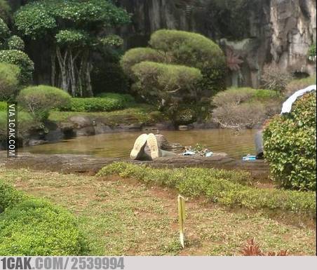 hiasan kolam ikan nyeleneh abis © berbagai sumber