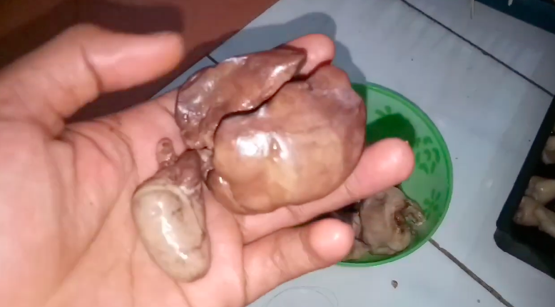 Trik jitu mengolah ati ampela agar tidak mudah hancur, super praktis