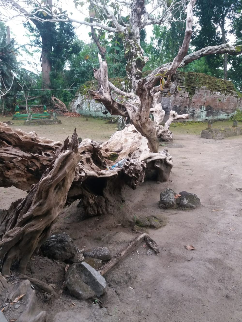 Miliki kisah cinta pilu, begini asal-usul makam Ratu Malang Yogyakarta © 2022 brilio.net