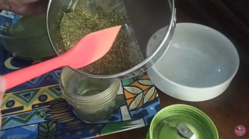 7 Cara membuat daun jeruk bubuk, tetap wangi dan tahan lama