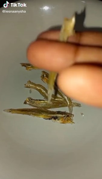 Trik simpel mengolah ikan teri agar tidak pahit dan alot