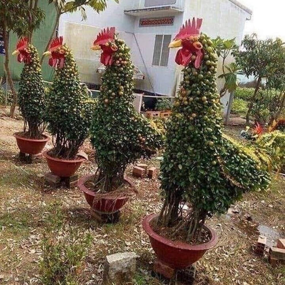 potret taman unik © berbagai sumber