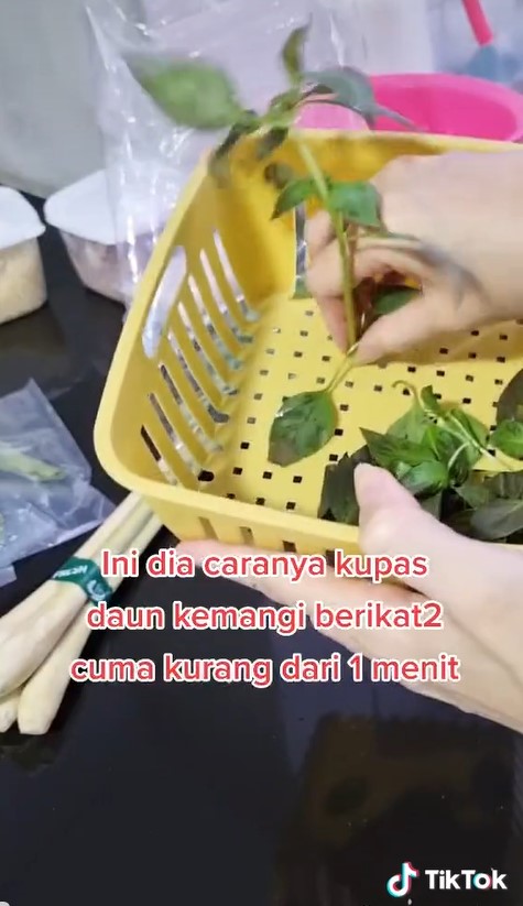 Trik sederhana memisahkan daun kemangi dari batangnya, tanpa ribet
