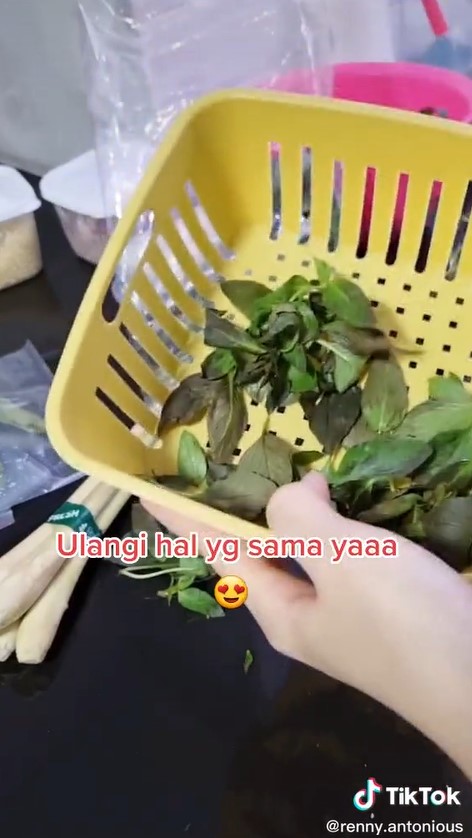 Trik sederhana memisahkan daun kemangi dari batangnya, tanpa ribet