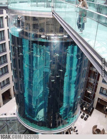 penampakan lift di tempat yang tak terduga © berbagai sumber