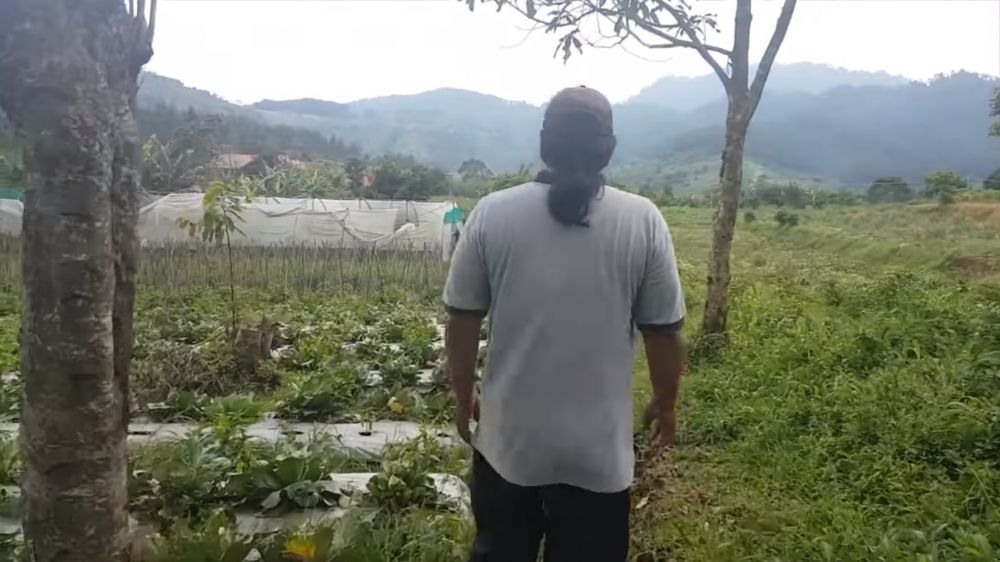 Ken Ken Wiro Sableng jadi petani © berbagai sumber