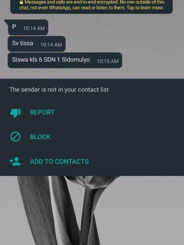 minta simpan nomor WA malah jadi sad © berbagai sumber
