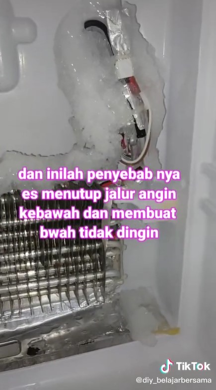 Cara mudah memperbaiki kulkas bagian bawah yang tidak dingin