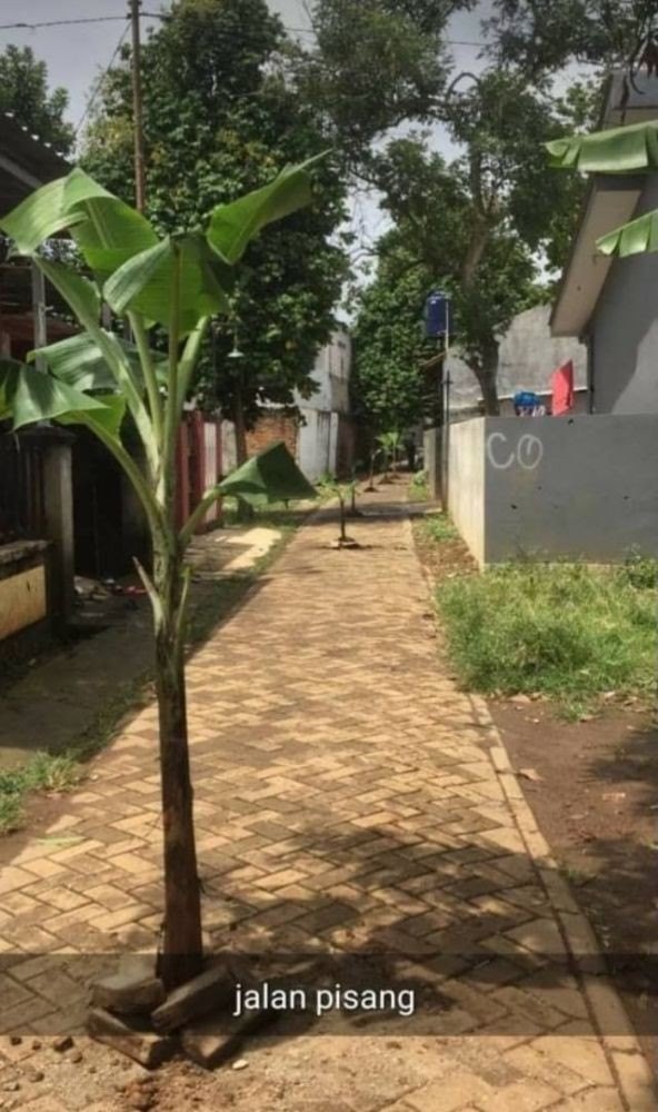 benda nggak lazim di jalan © berbagai sumber