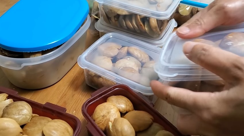 Cara menyimpan jengkol tetap segar sampai 1 tahun, pakai bubuk kopi